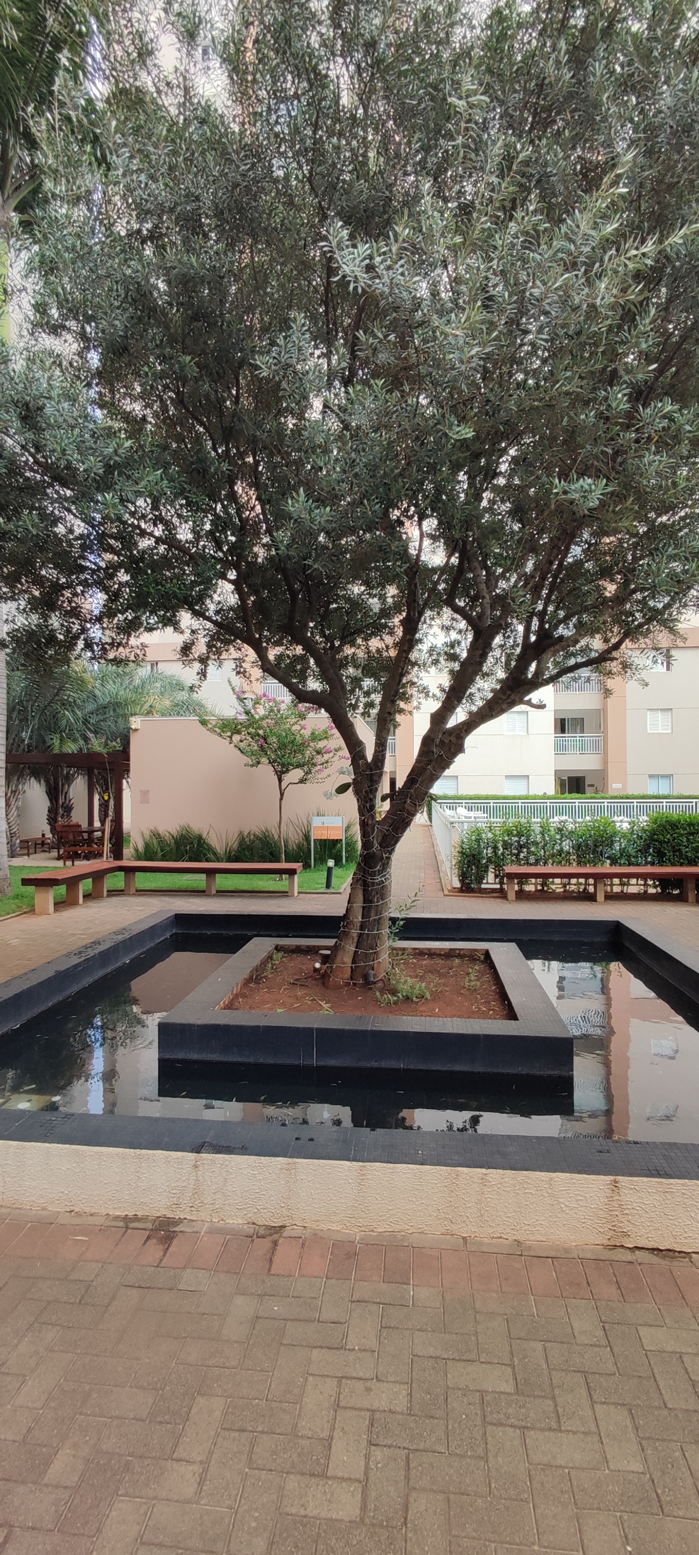 Apartamento, 3 quartos - Foto 29