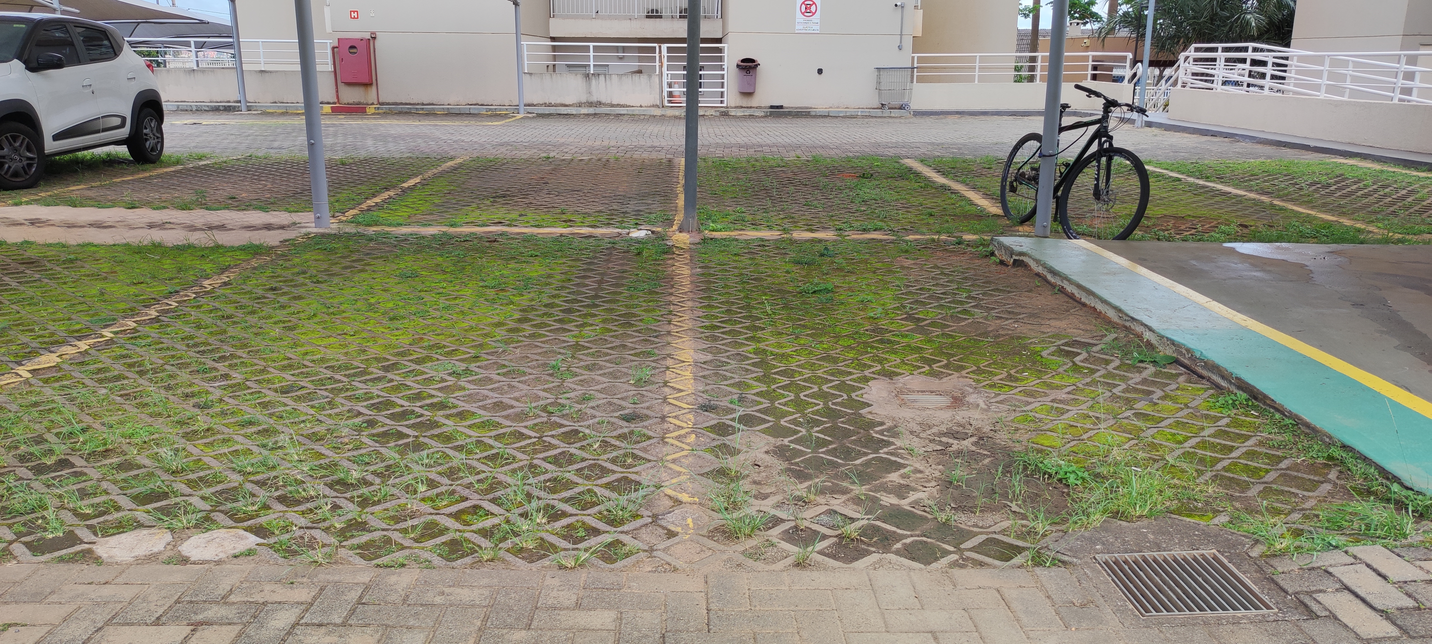 Apartamento, 3 quartos - Foto 23