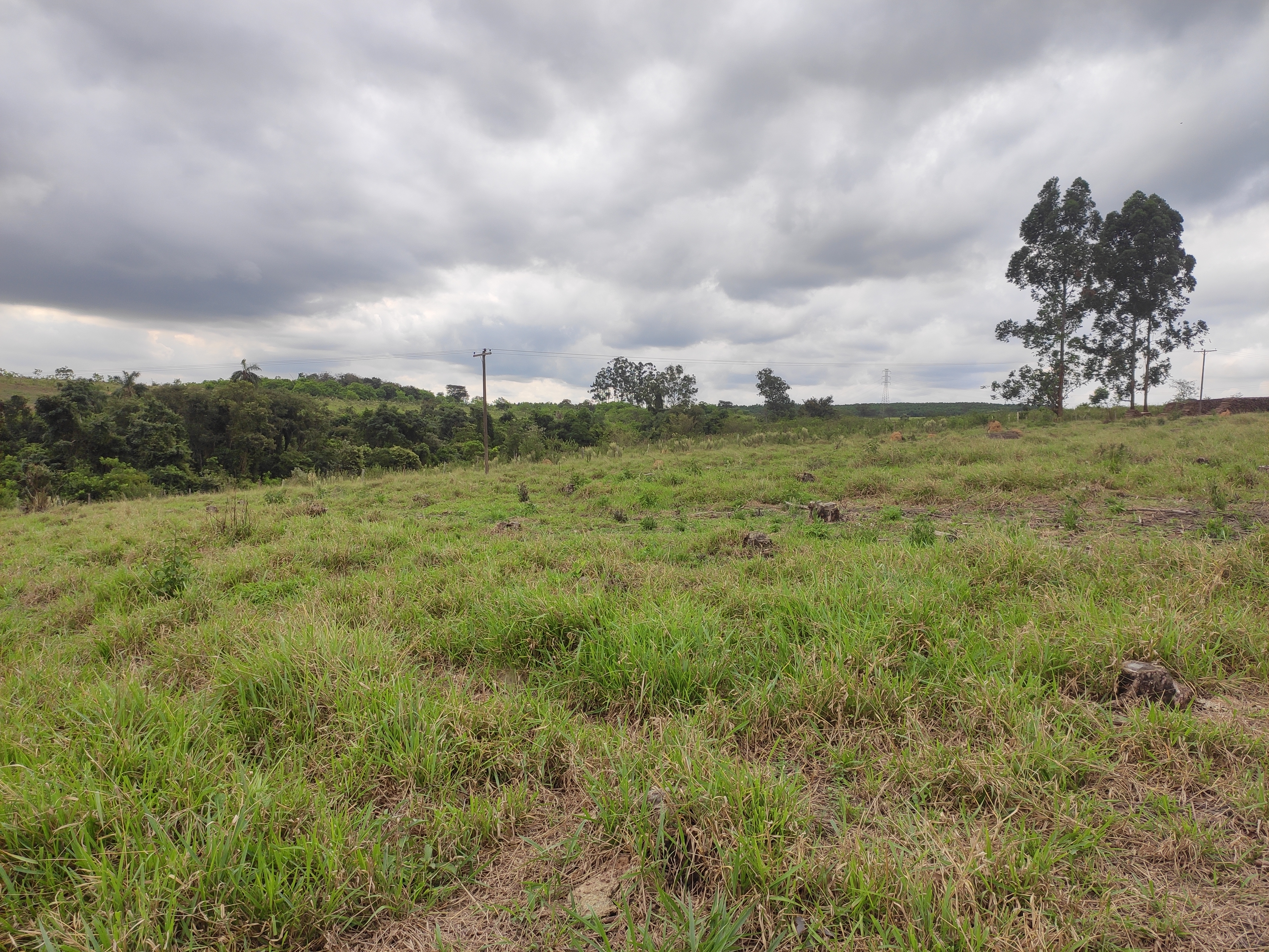 Loteamento e Condomínio à venda, 242000m² - Foto 5