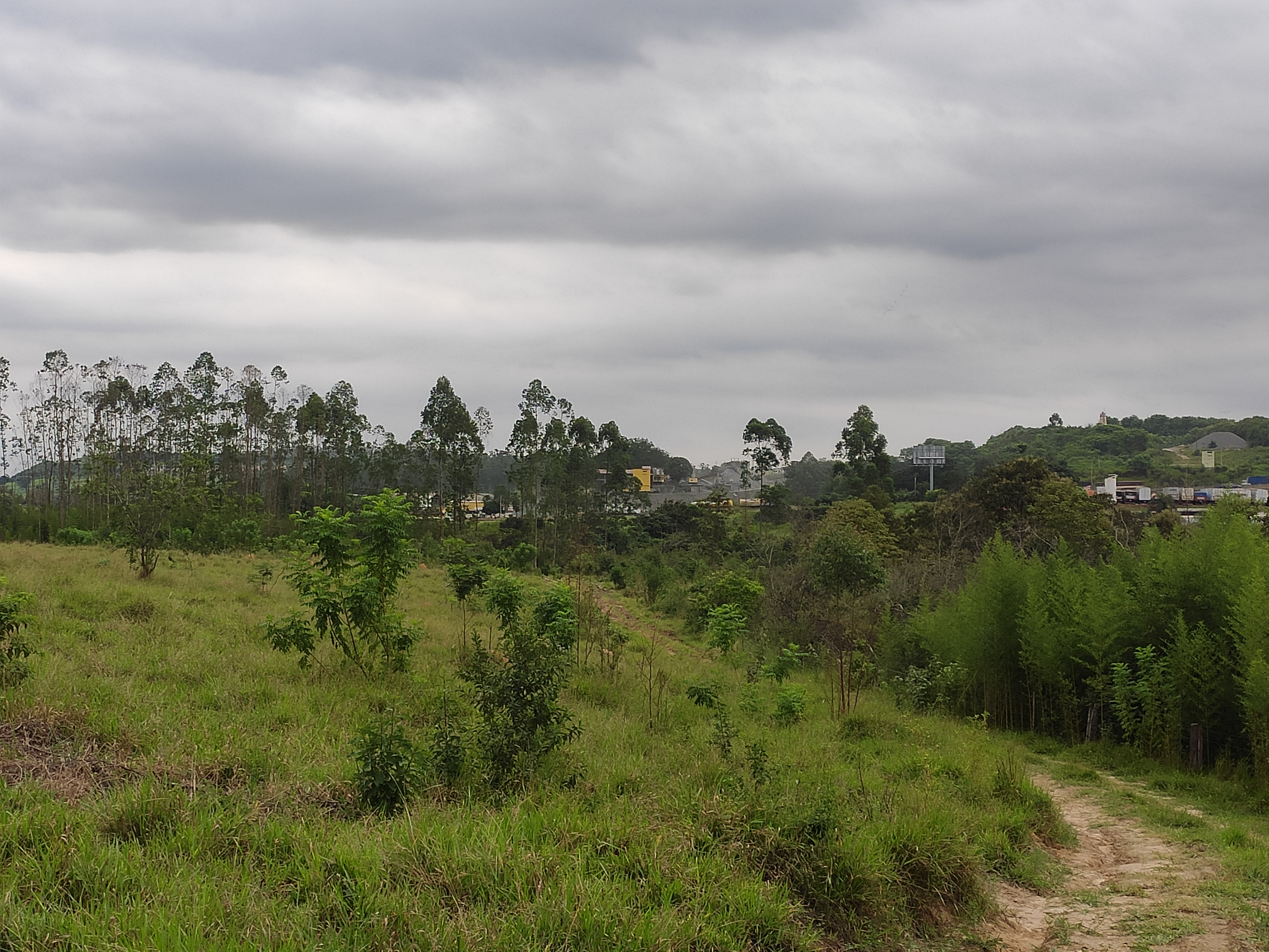 Loteamento e Condomínio à venda, 242000m² - Foto 7