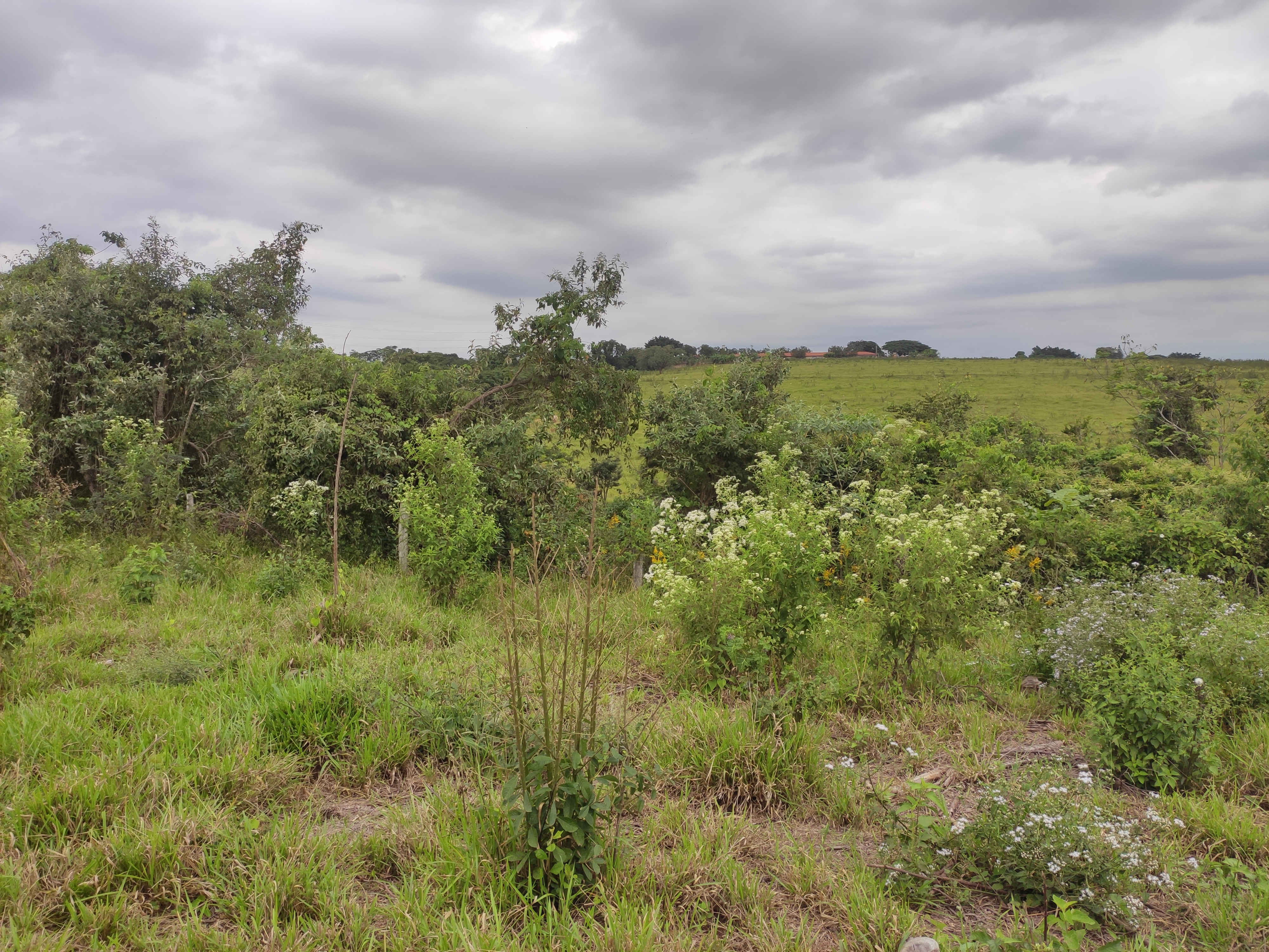 Loteamento e Condomínio à venda, 242000m² - Foto 4