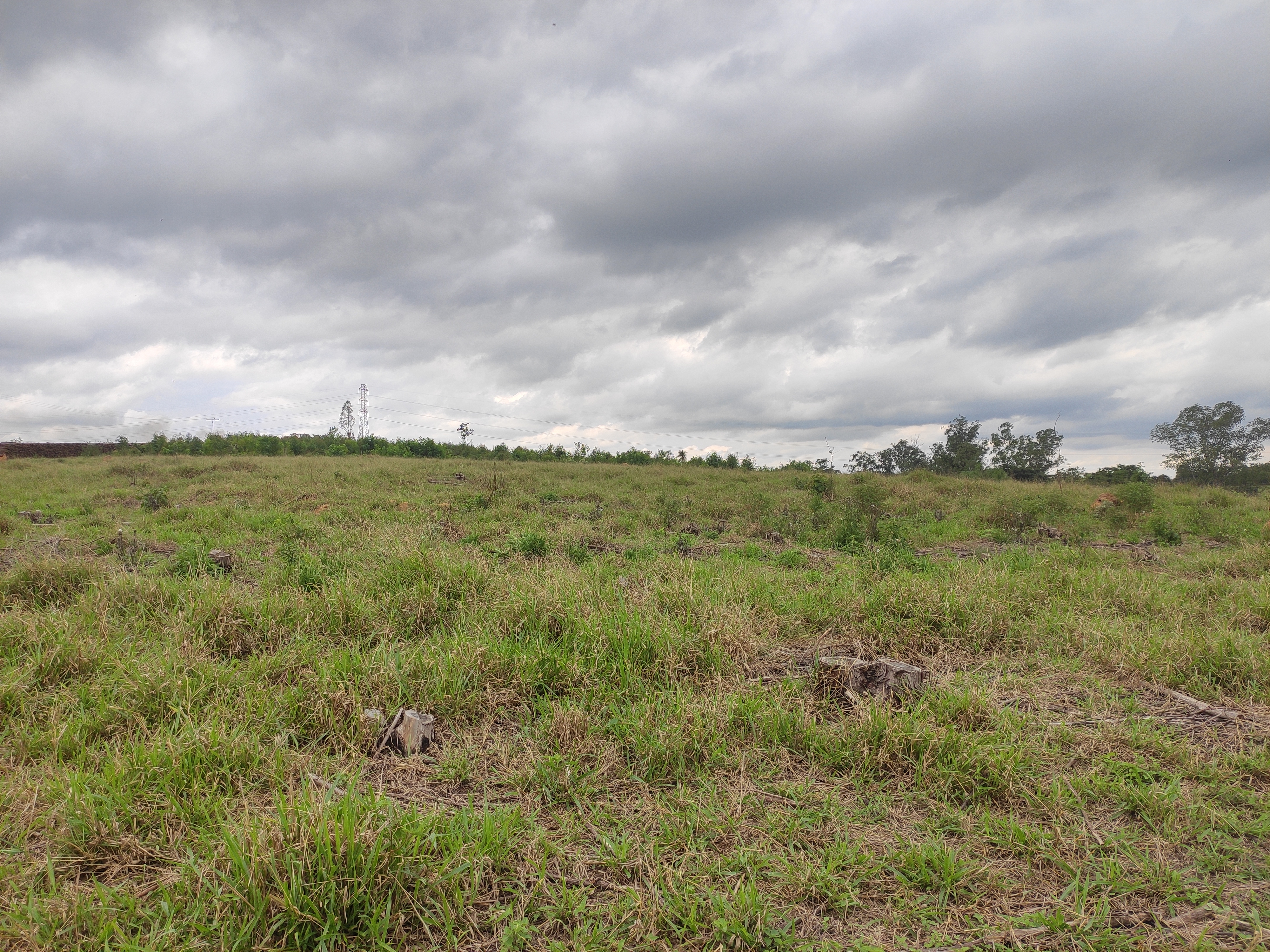 Loteamento e Condomínio à venda, 242000m² - Foto 6