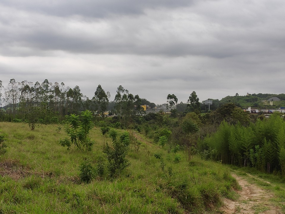Área com 10 alqueires próximo da Anhanguera