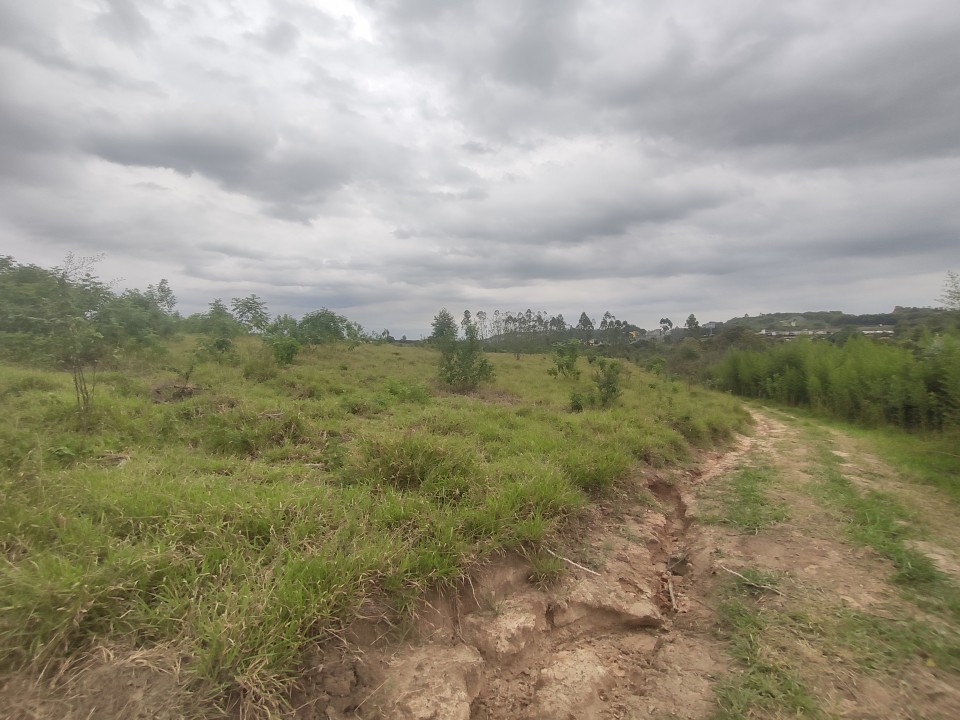 Área com 10 alqueires próximo da Anhanguera