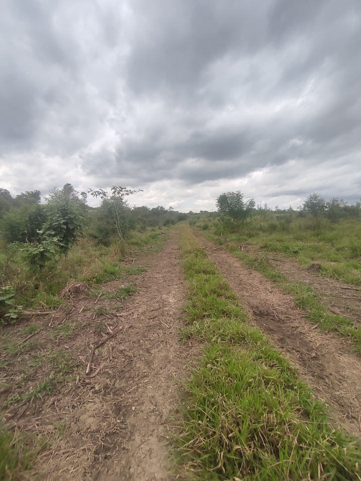 Área com 10 alqueires próximo da Anhanguera
