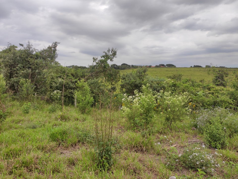Área com 10 alqueires próximo da Anhanguera