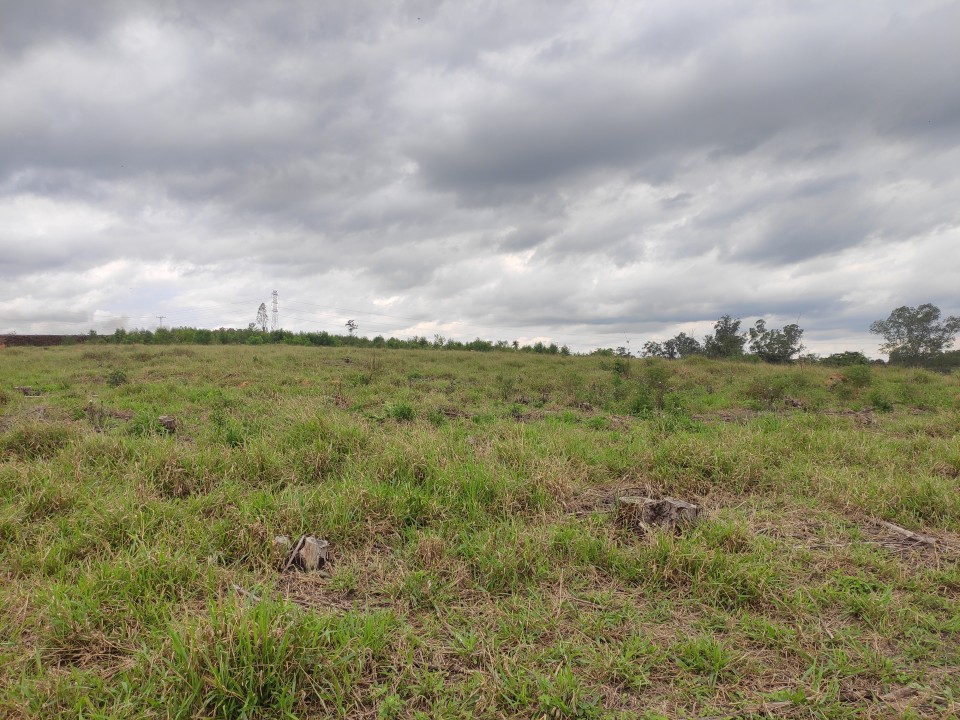 Área com 10 alqueires próximo da Anhanguera