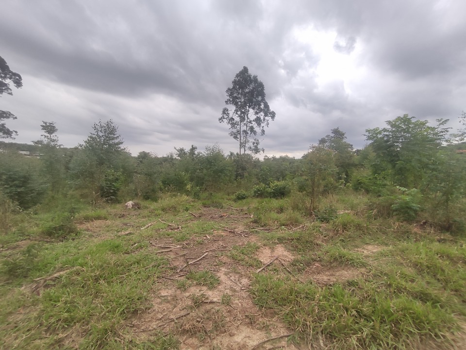 Área com 10 alqueires próximo da Anhanguera