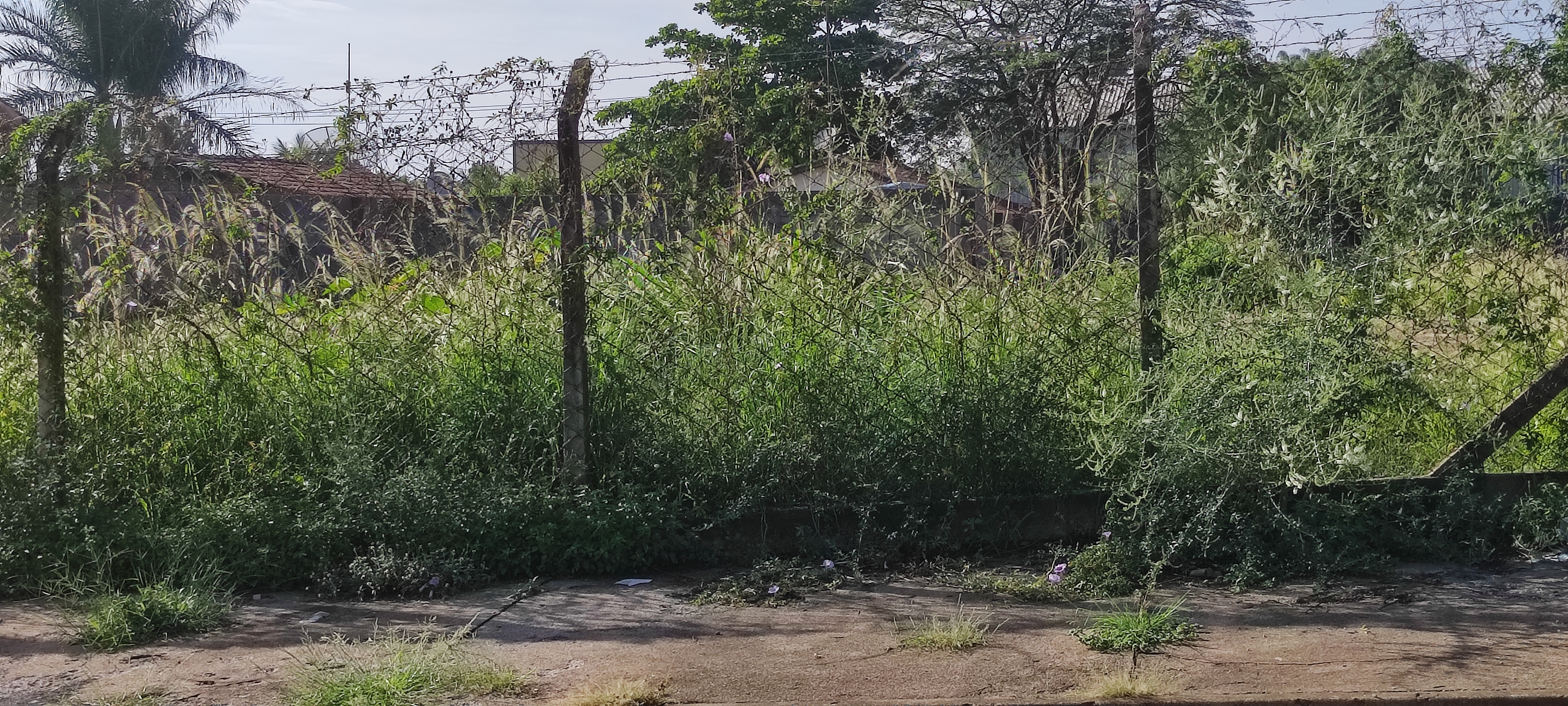 Loteamento e Condomínio à venda, 900m² - Foto 9