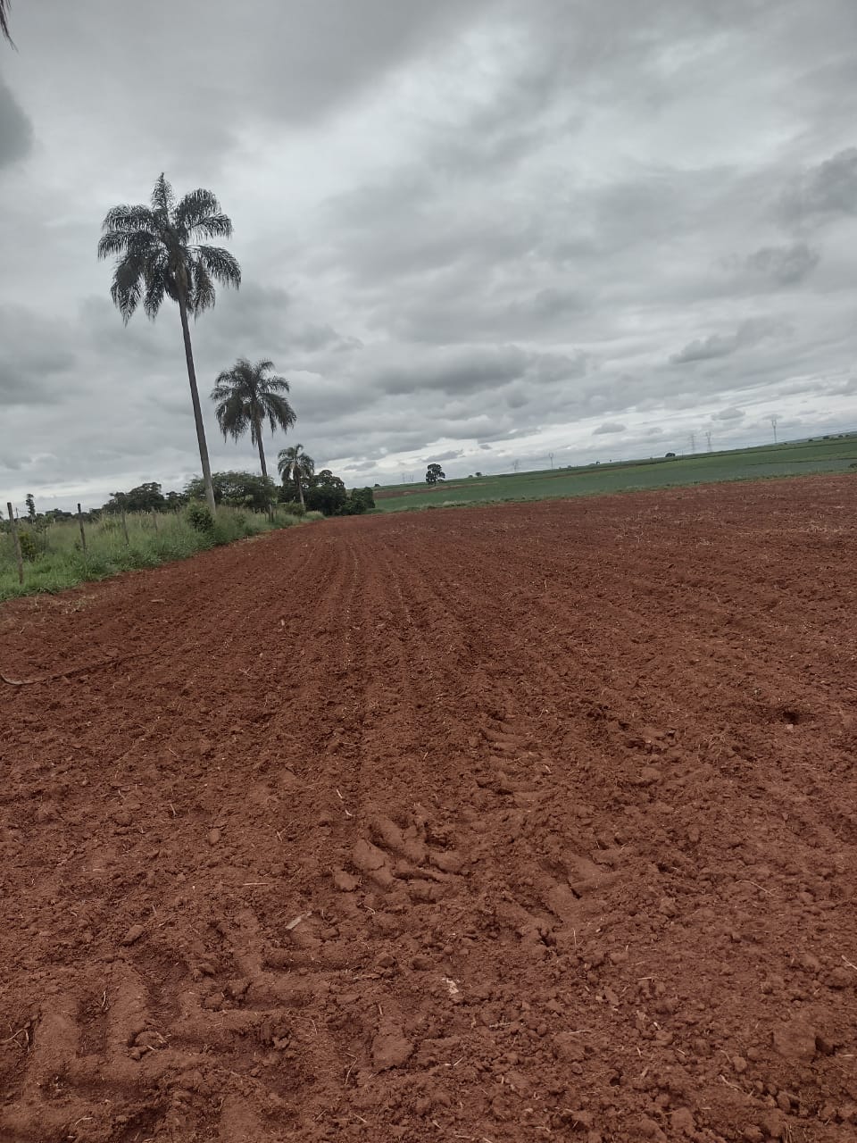 Loteamento e Condomínio à venda, 20000m² - Foto 3