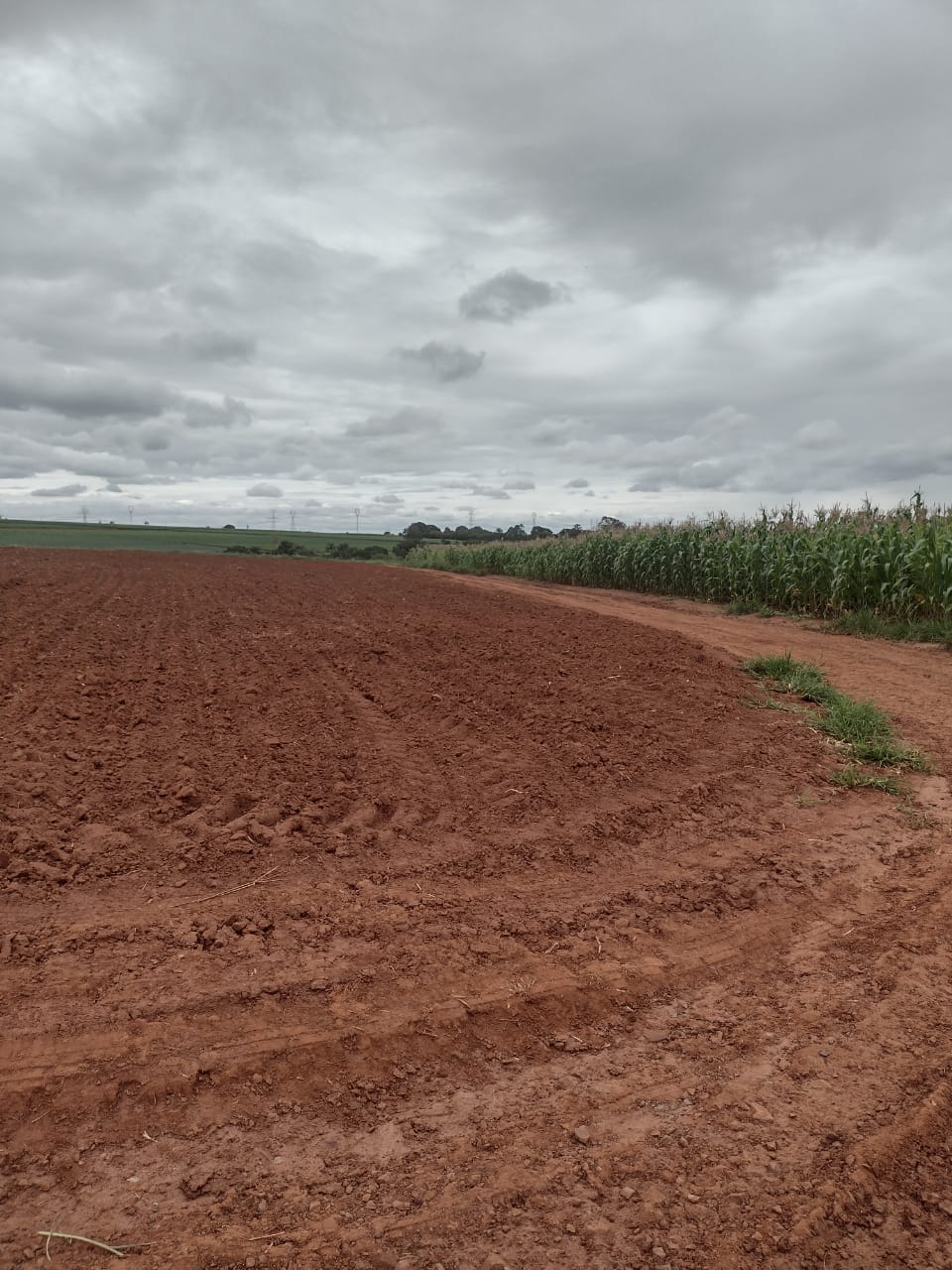 Loteamento e Condomínio à venda, 20000m² - Foto 8