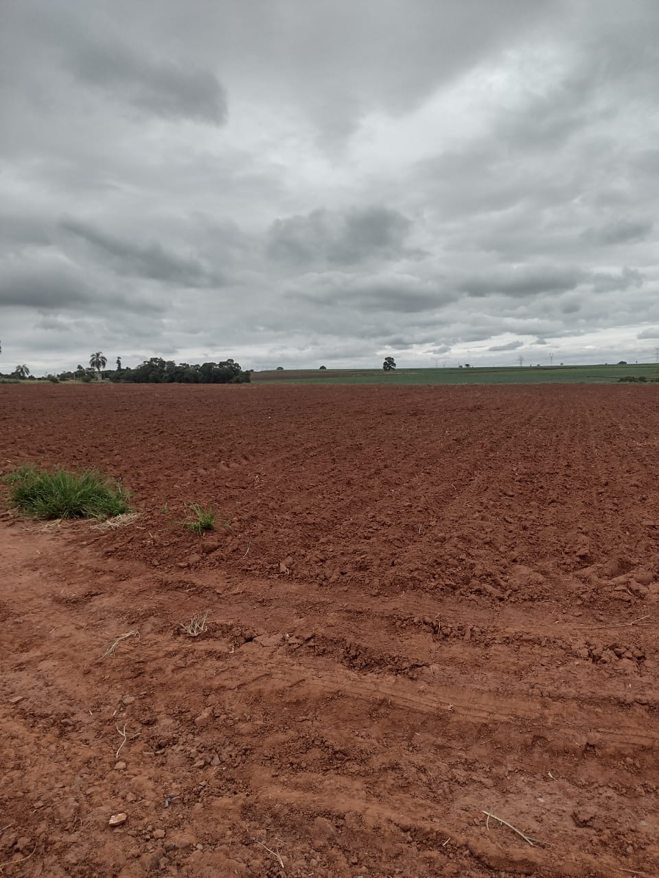 Loteamento e Condomínio à venda, 20000m² - Foto 6