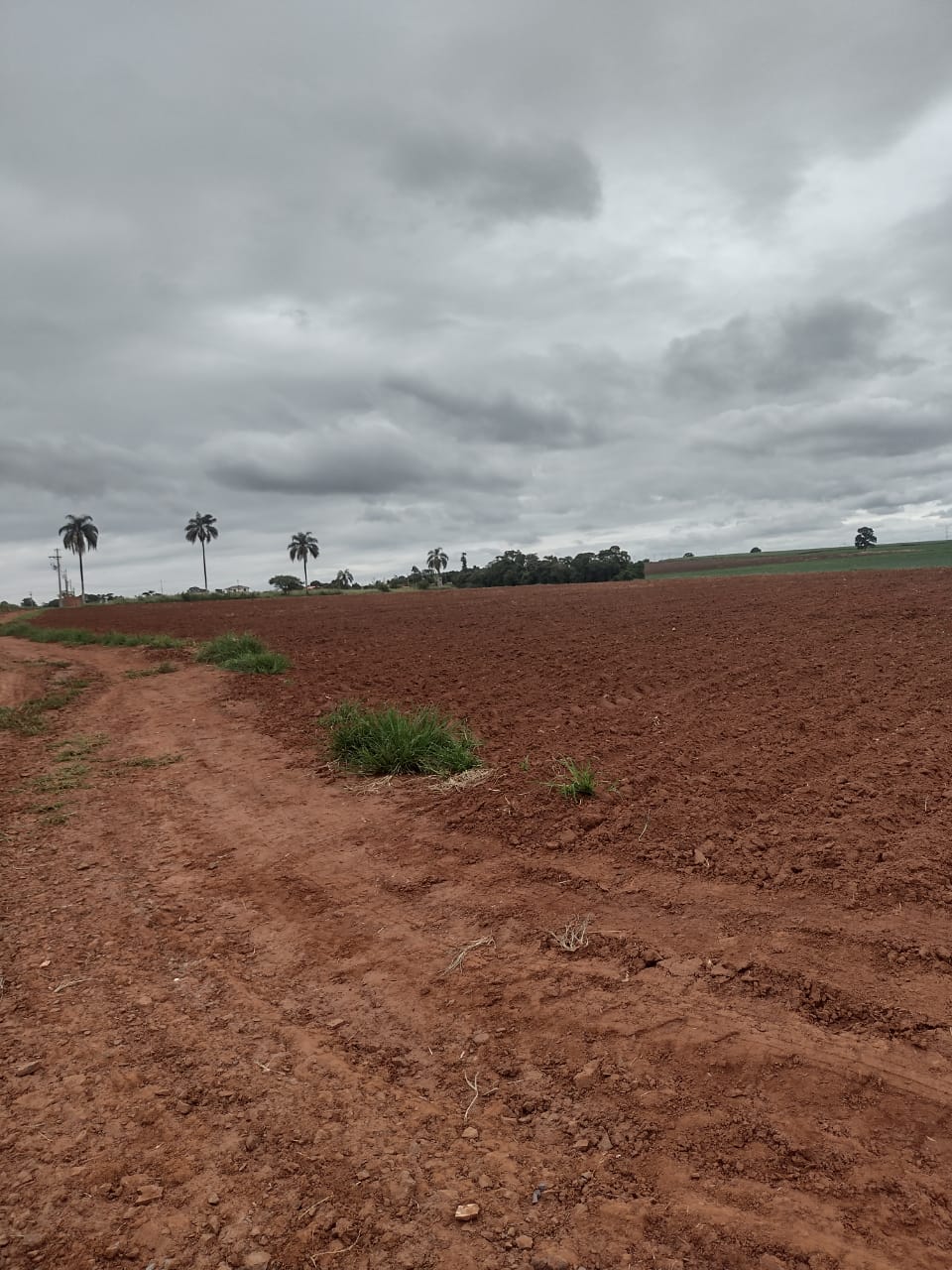 Loteamento e Condomínio à venda, 20000m² - Foto 5