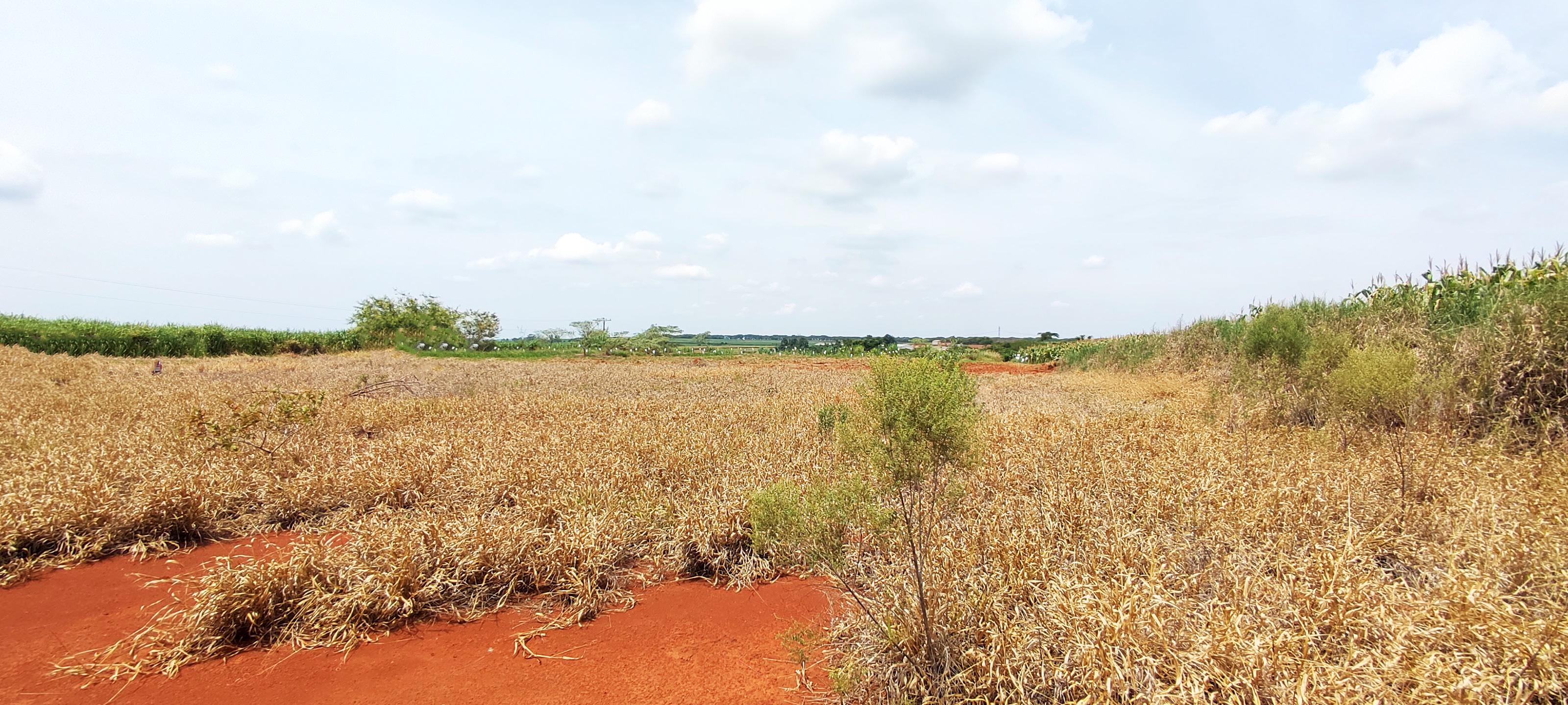 Loteamento e Condomínio à venda, 20000m² - Foto 3