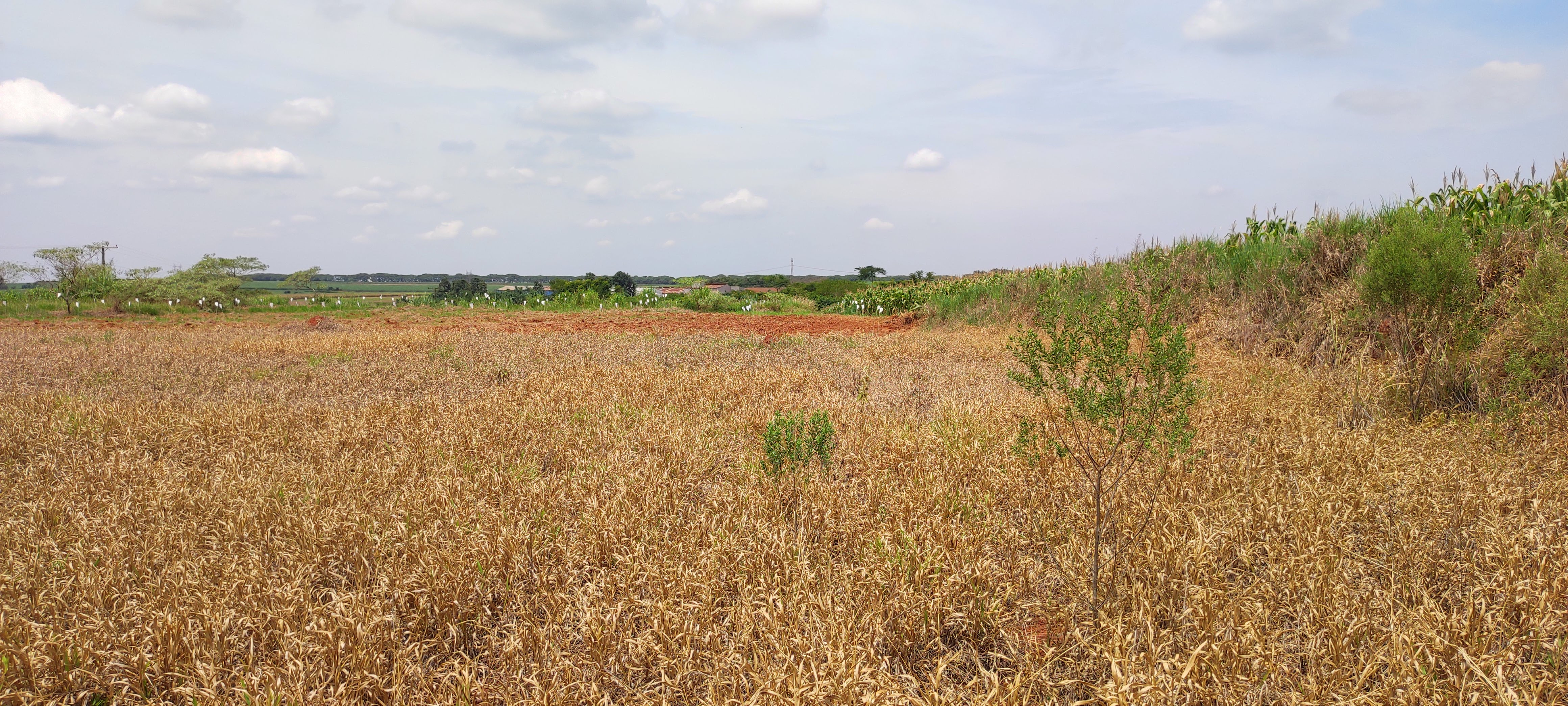 Loteamento e Condomínio à venda, 20000m² - Foto 7