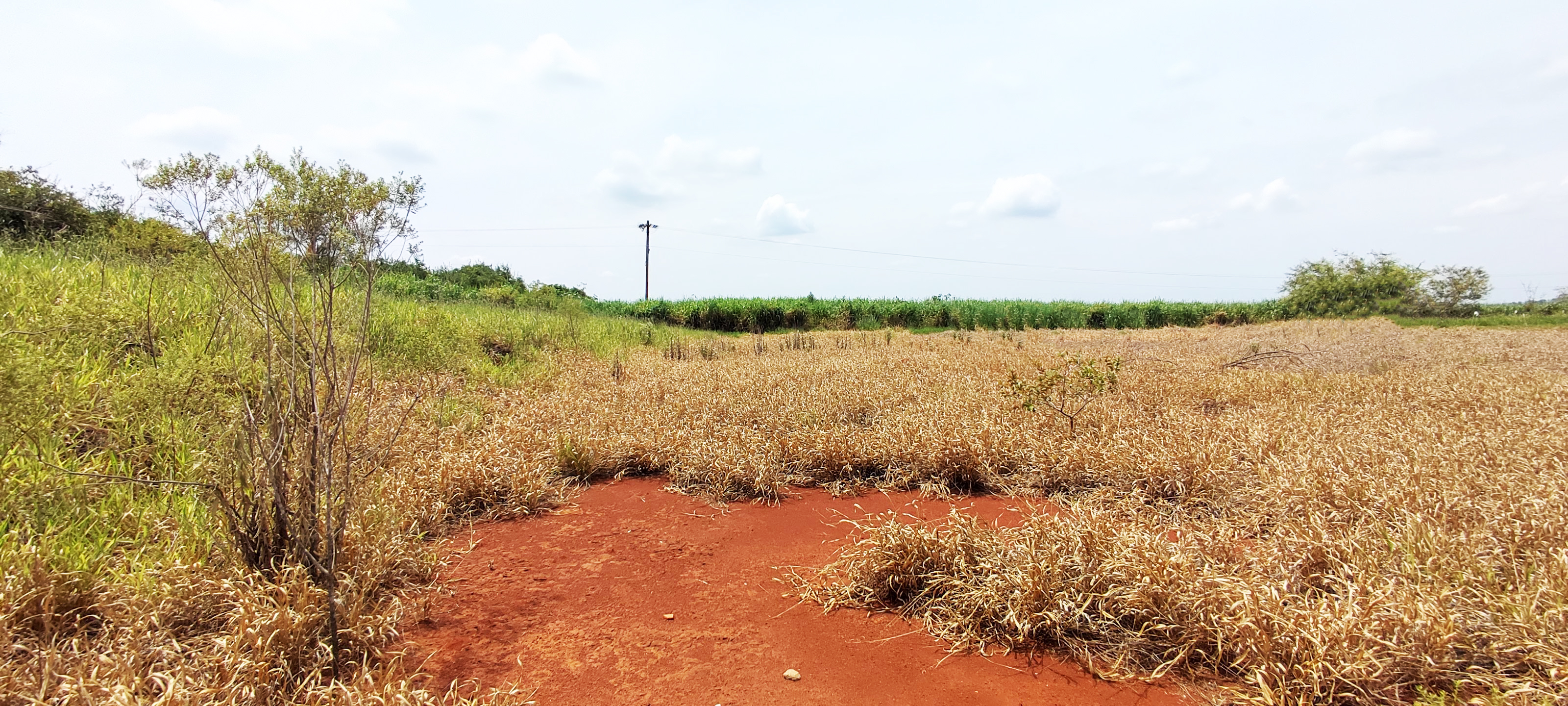 Loteamento e Condomínio à venda, 20000m² - Foto 2