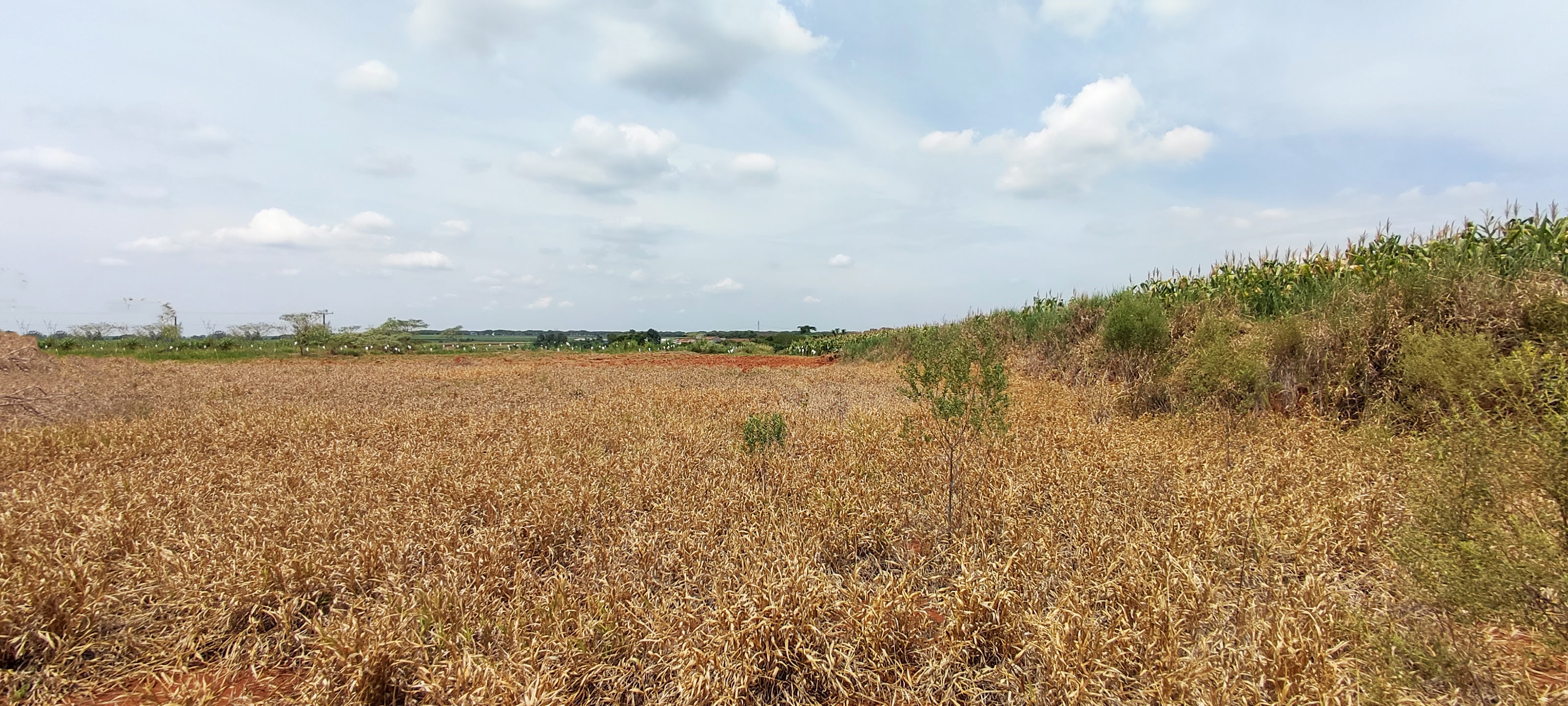 Loteamento e Condomínio à venda, 20000m² - Foto 6