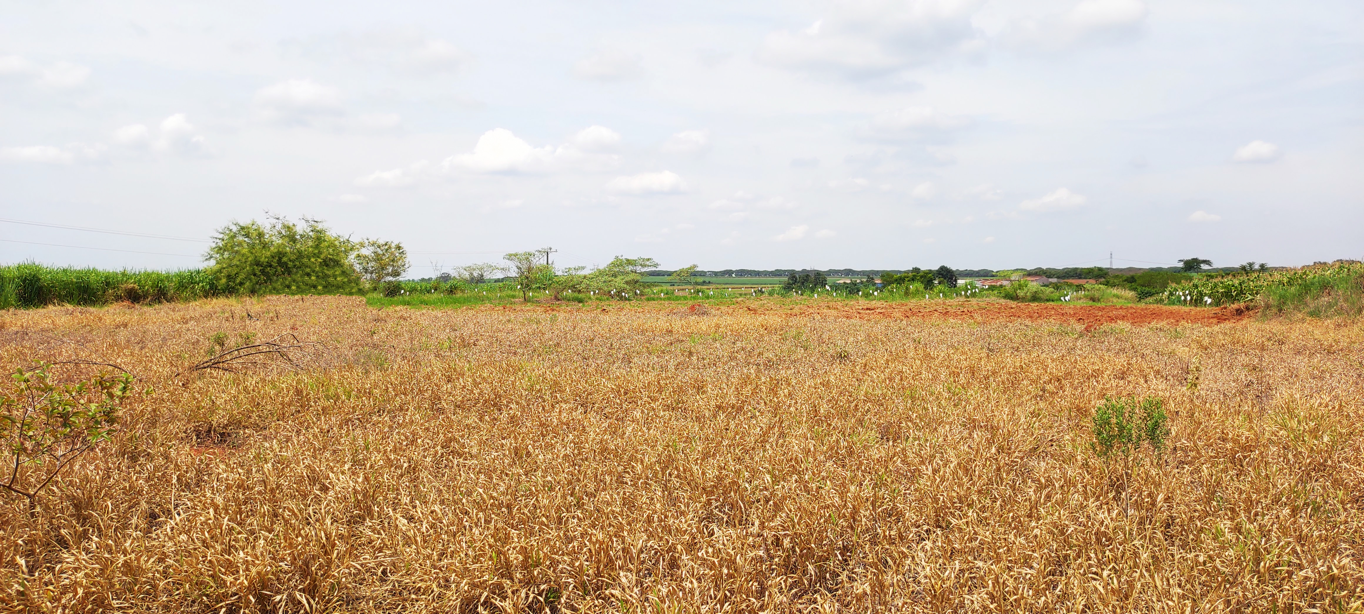 Loteamento e Condomínio à venda, 20000m² - Foto 8