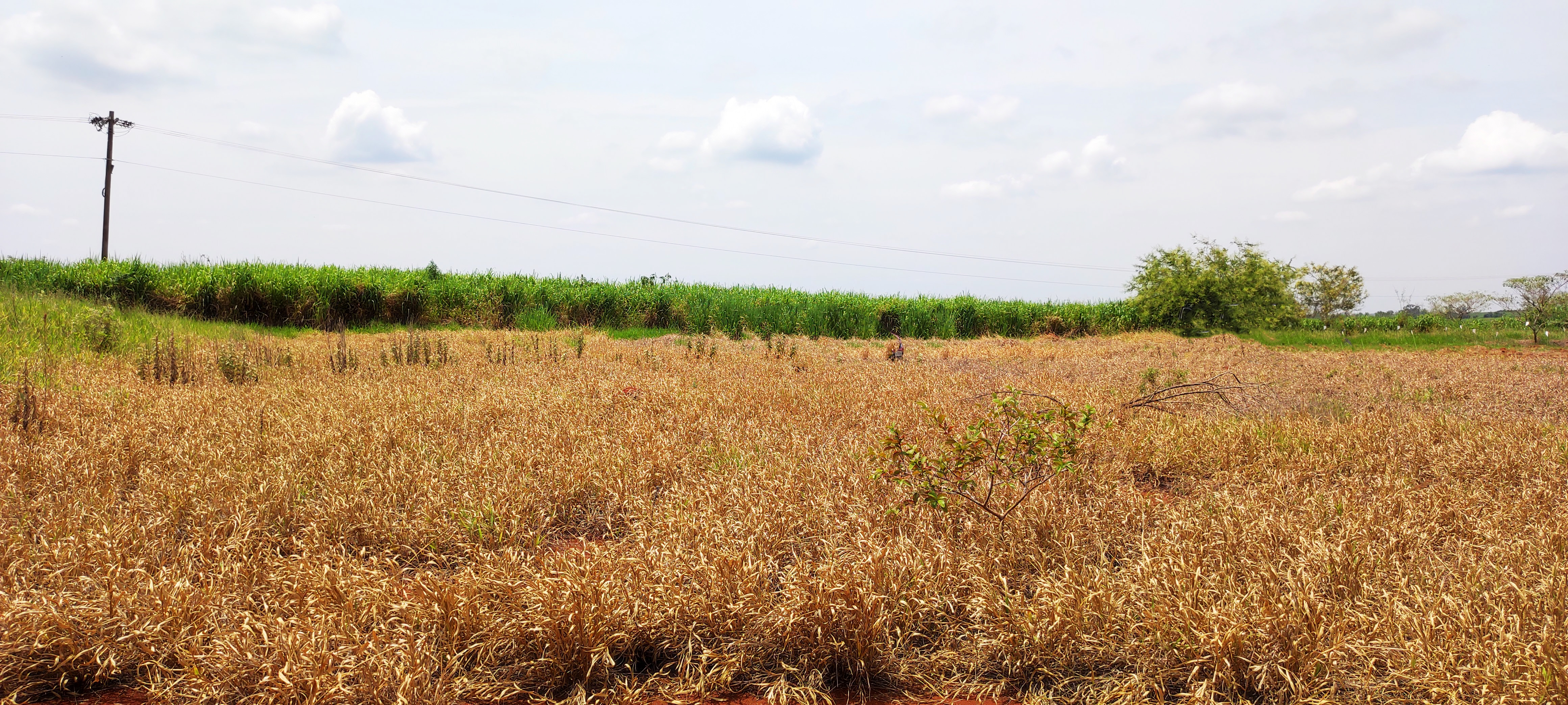 Loteamento e Condomínio à venda, 20000m² - Foto 1