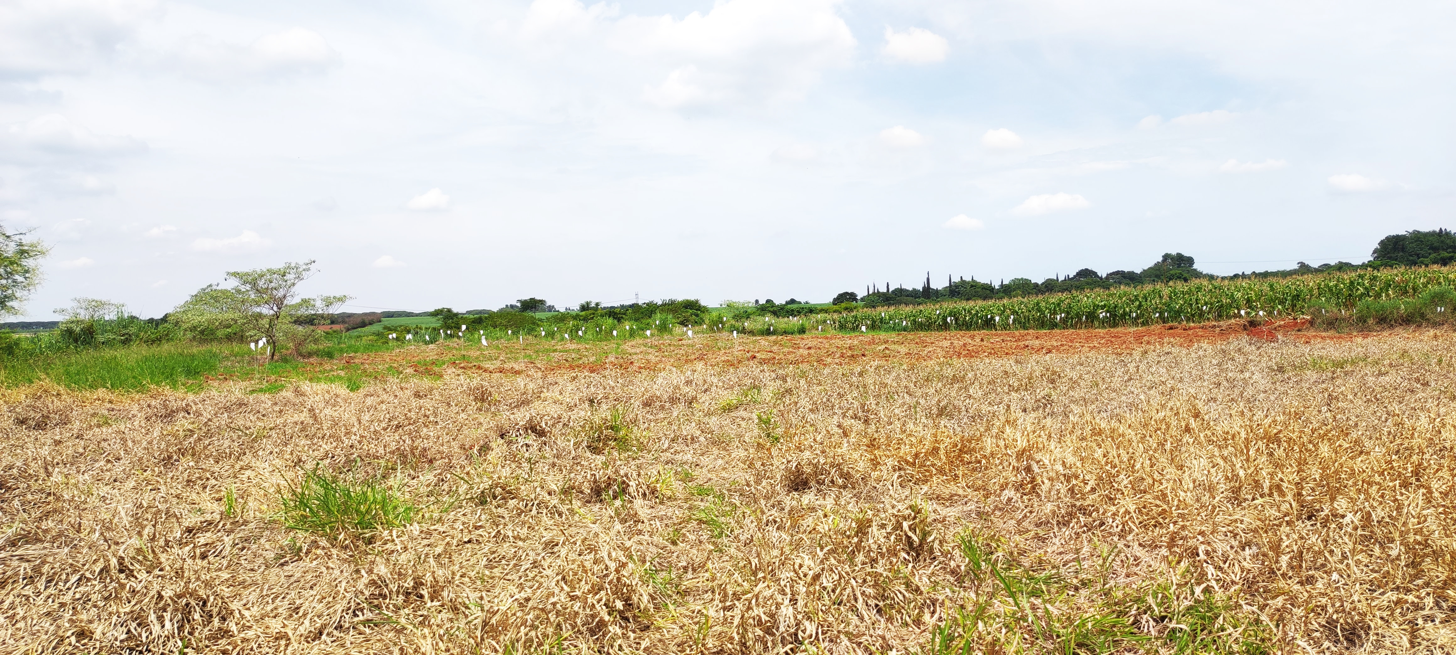 Loteamento e Condomínio à venda, 20000m² - Foto 9