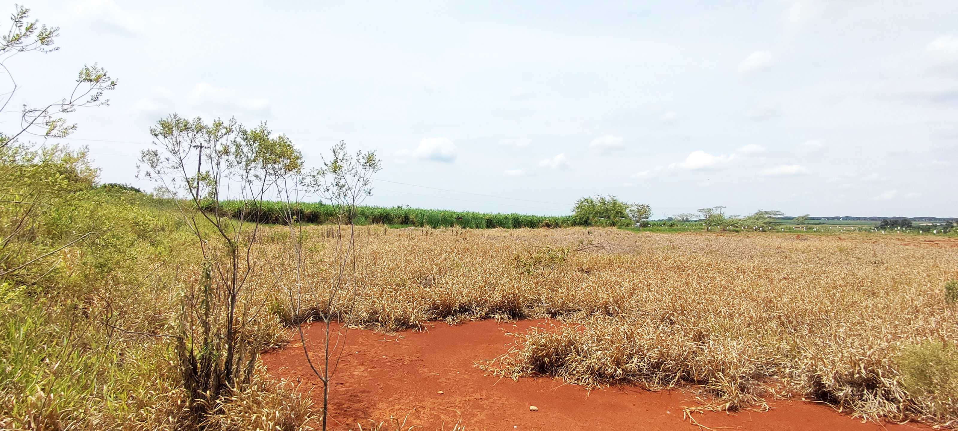 Loteamento e Condomínio à venda, 20000m² - Foto 4