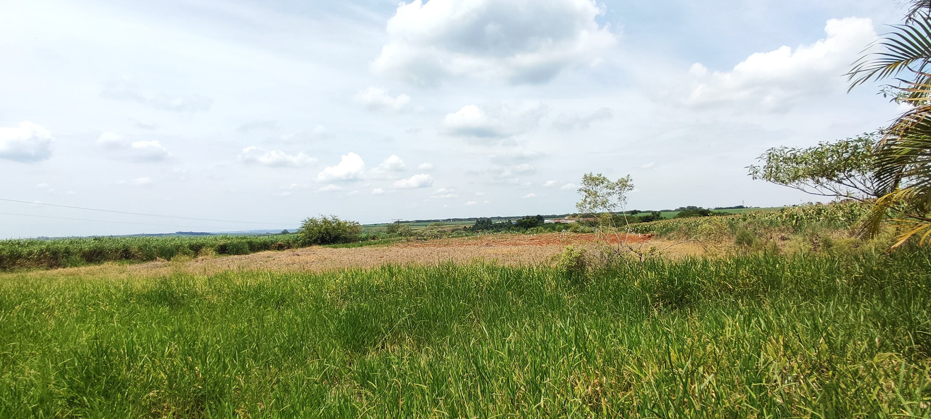 Loteamento e Condomínio à venda, 20000m² - Foto 11