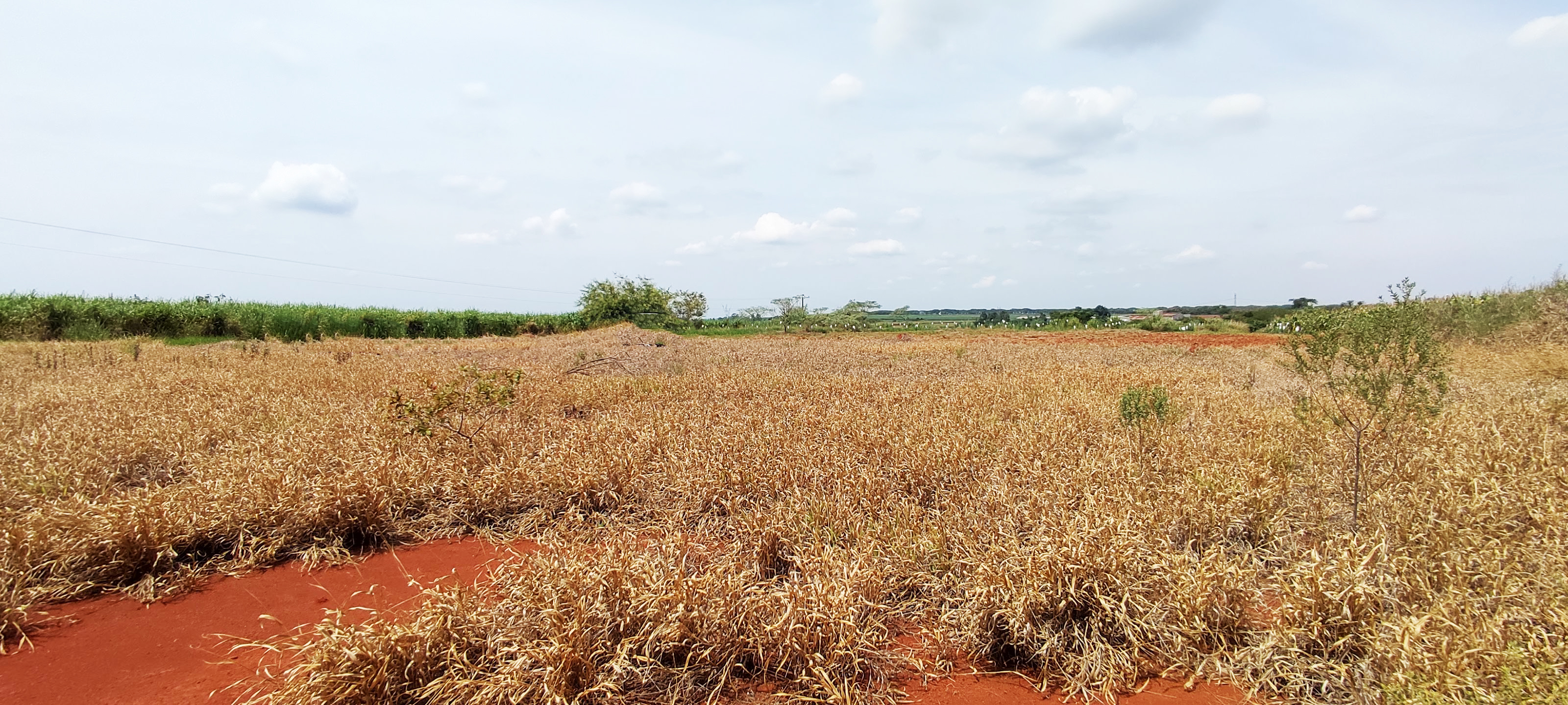 Loteamento e Condomínio à venda, 20000m² - Foto 5