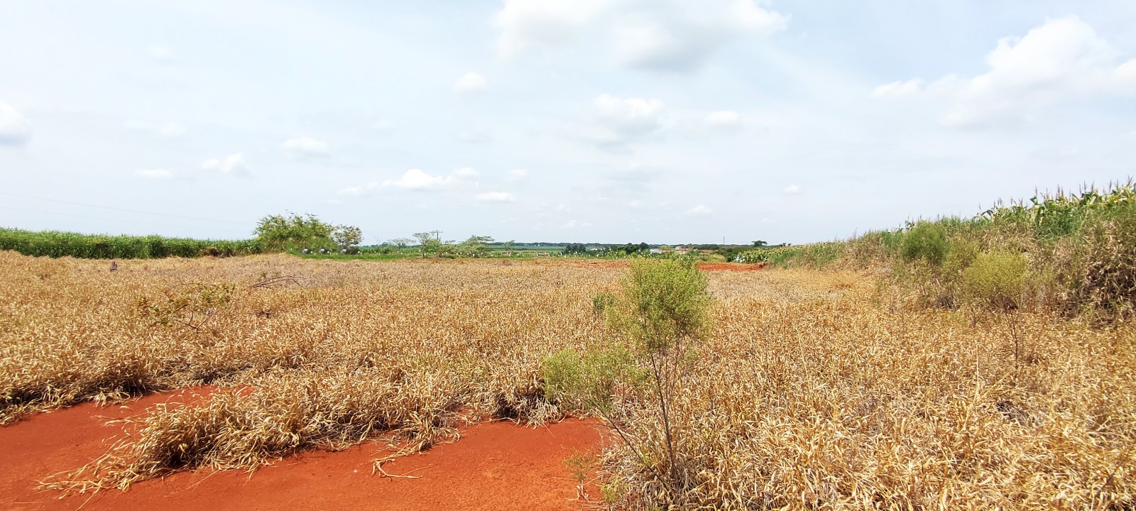 Area industrial com 20.000m em Iracemapolis SP