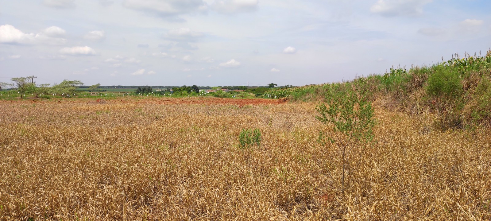 Area industrial com 20.000m em Iracemapolis SP
