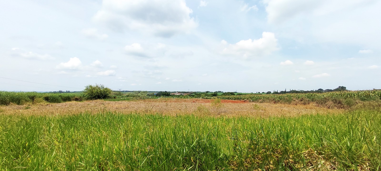 Area industrial com 20.000m em Iracemapolis SP