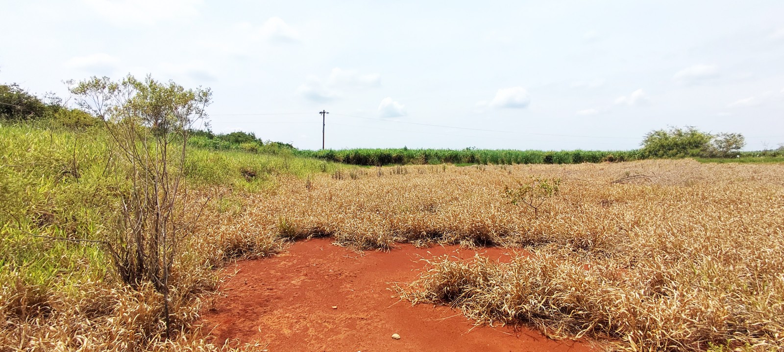 Area industrial com 20.000m em Iracemapolis SP