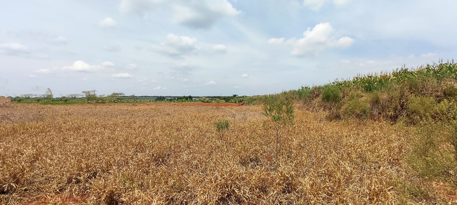 Area industrial com 20.000m em Iracemapolis SP