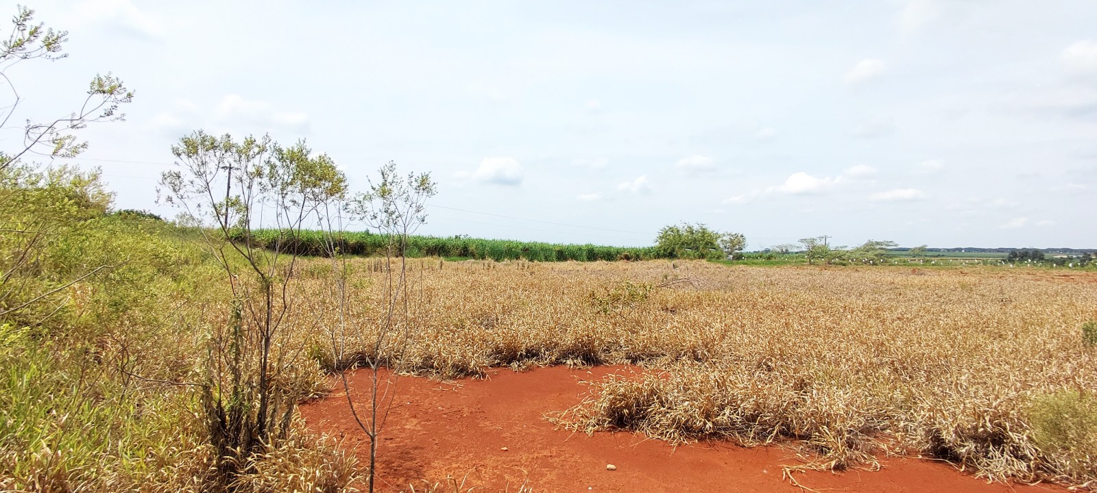 Area industrial com 20.000m em Iracemapolis SP