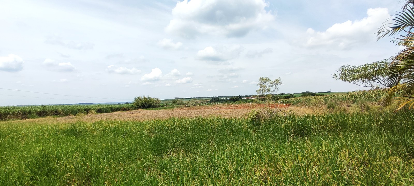 Area industrial com 20.000m em Iracemapolis SP
