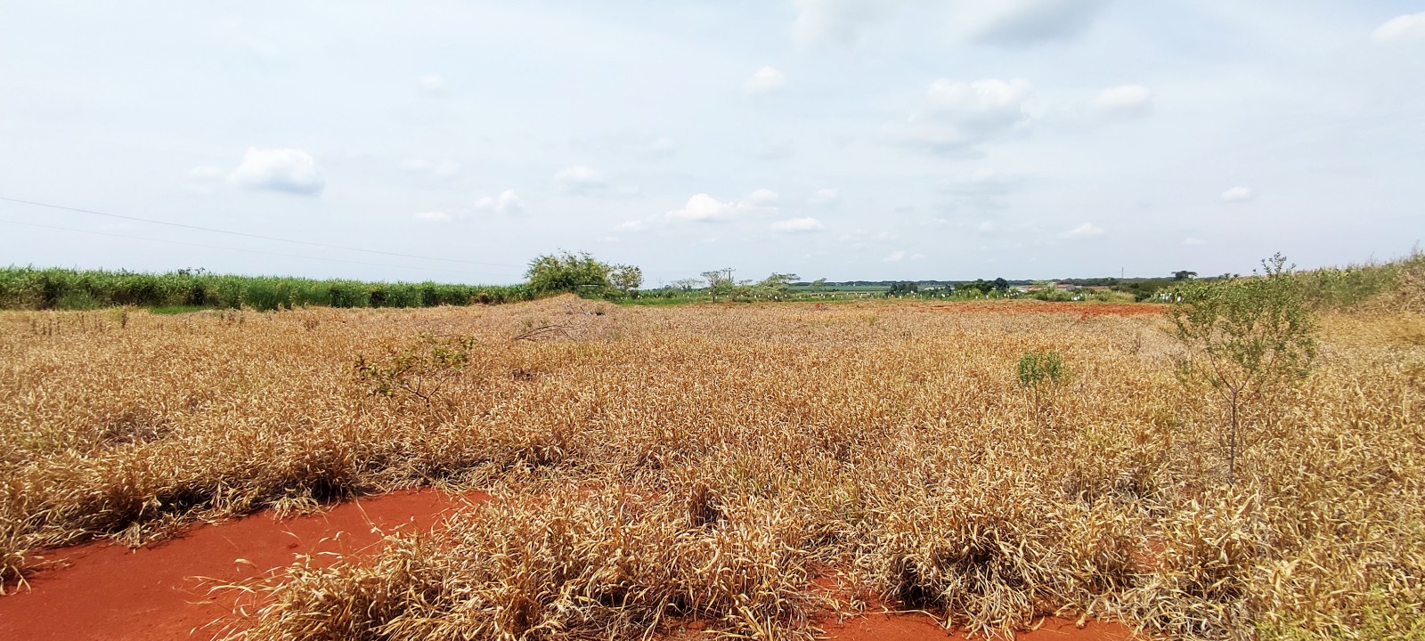 Area industrial com 20.000m em Iracemapolis SP