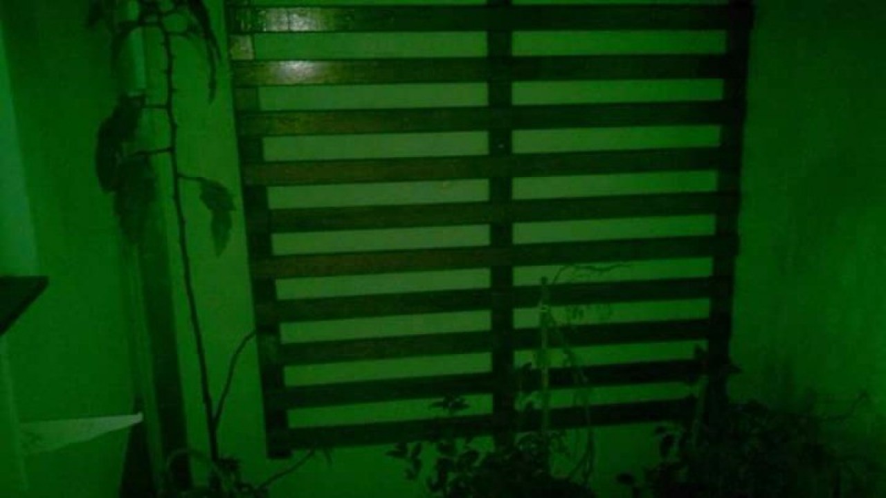 Casa c/02 dorms no Abilio Pedro