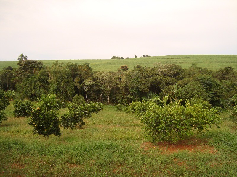 Fazenda à venda com 4 quartos, 32000m² - Foto 25