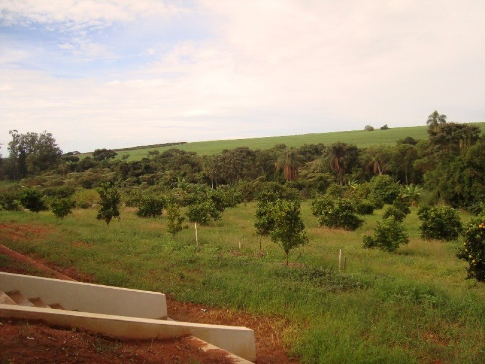 Chácara com 32000m2 em Limeira