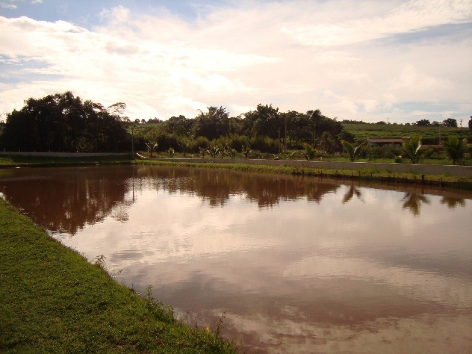 Chácara com 32000m2 em Limeira
