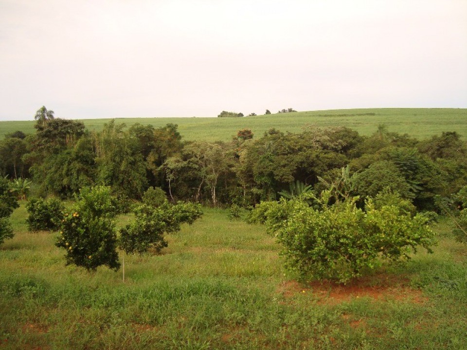 Chácara com 32000m2 em Limeira