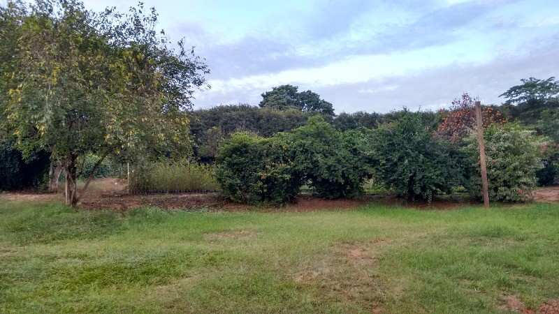 Fazenda à venda com 2 quartos, 40000m² - Foto 24