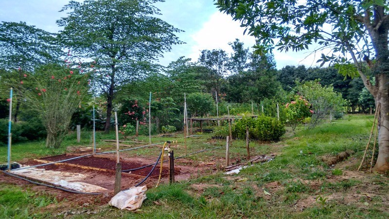 Fazenda à venda com 2 quartos, 40000m² - Foto 9