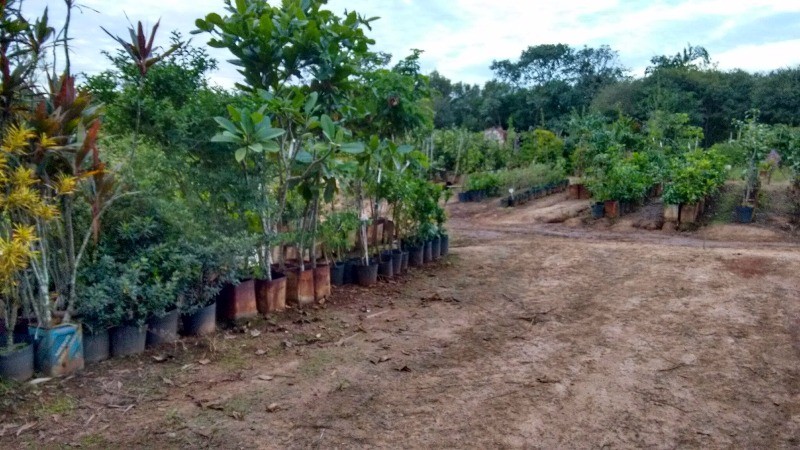 Fazenda à venda com 2 quartos, 40000m² - Foto 46