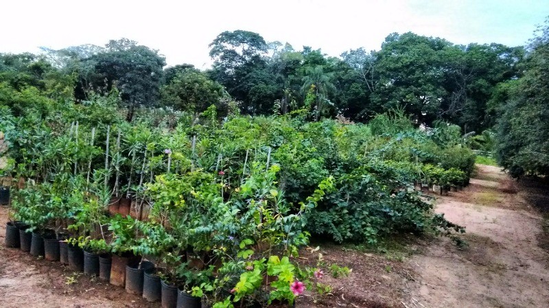 Fazenda à venda com 2 quartos, 40000m² - Foto 45