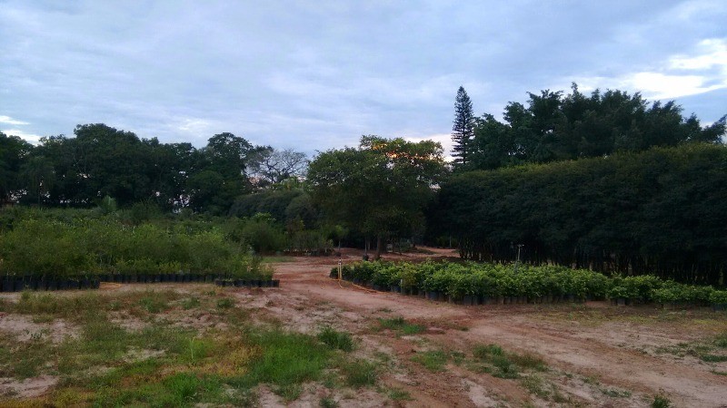 Fazenda à venda com 2 quartos, 40000m² - Foto 38