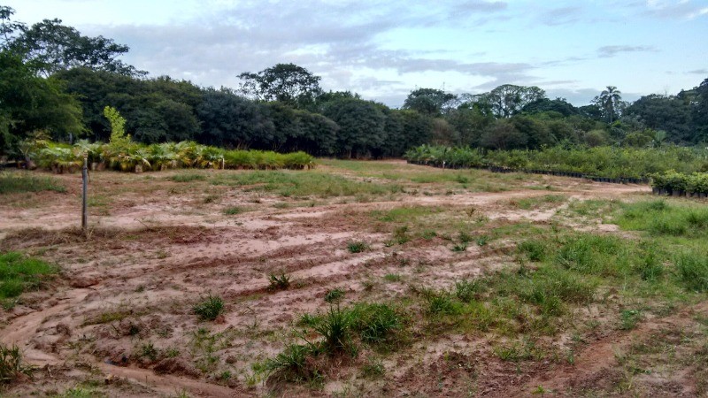 Fazenda à venda com 2 quartos, 40000m² - Foto 33