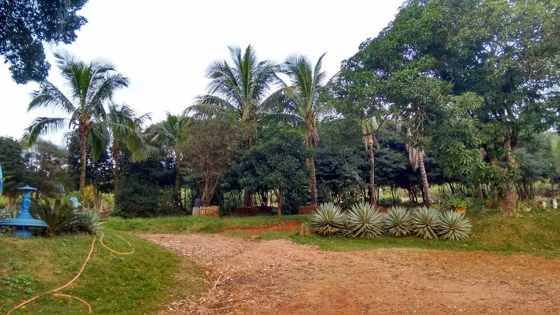 Fazenda à venda com 2 quartos, 40000m² - Foto 1