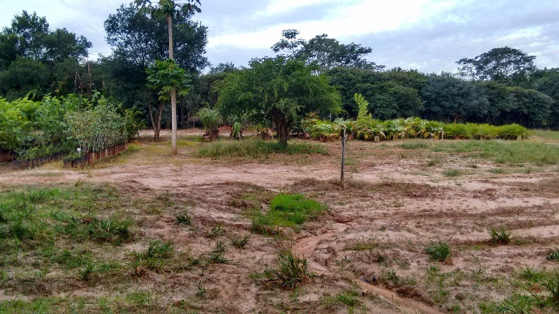 Fazenda à venda com 2 quartos, 40000m² - Foto 34