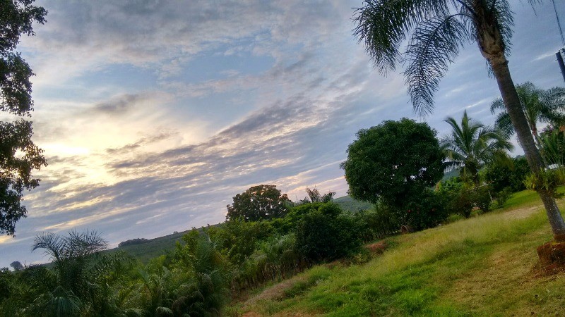 Fazenda à venda com 2 quartos, 40000m² - Foto 6