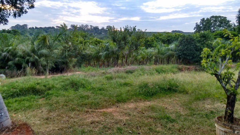 Fazenda à venda com 2 quartos, 40000m² - Foto 10